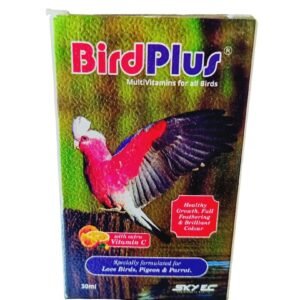 bird plus