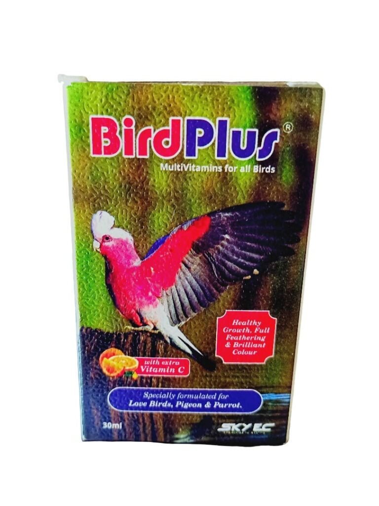bird plus