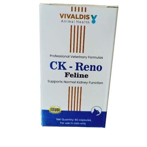 ck reno feline