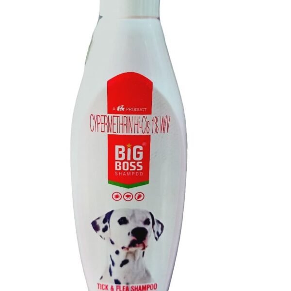 shampoo big boss