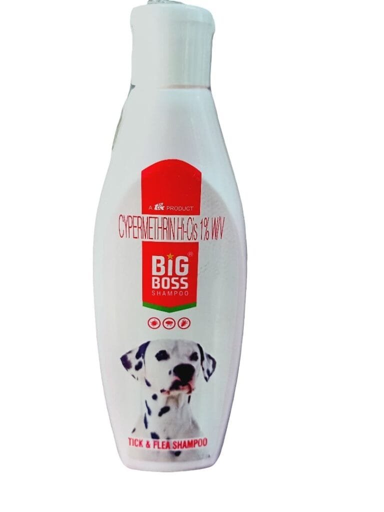 shampoo big boss