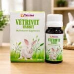 Vetrivit Rabbit