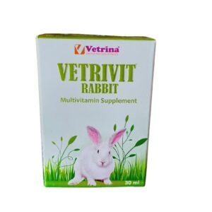 Vetrivit Rabbit