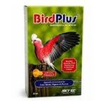 Bird Plus