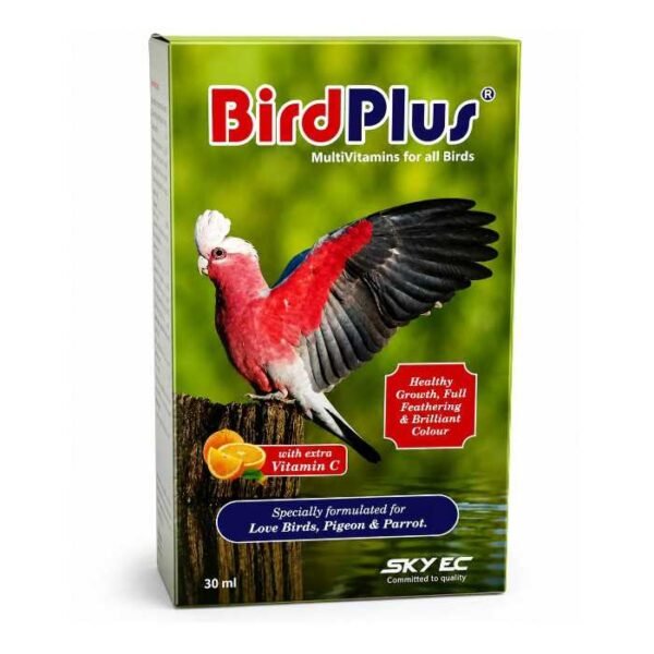 Bird Plus
