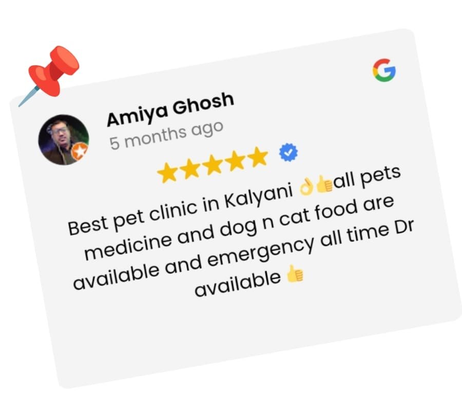 review-amiyo