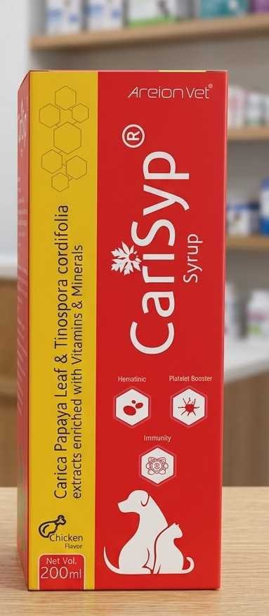 CARISYP 200ML SYRUP