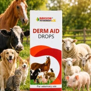 DERM AID DROP