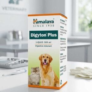 DIGYTON PLUS SYRUP 100ML