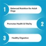 Purepet Dog Adult Chicken and Vegetables Dry Food - Image 3