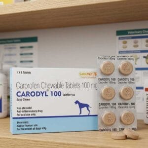 CARODYL 100 TABLET