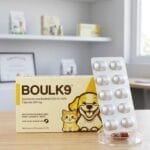 Boul K9 Tablet