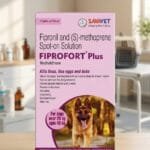 Fiprofort Plus Dog Spot on