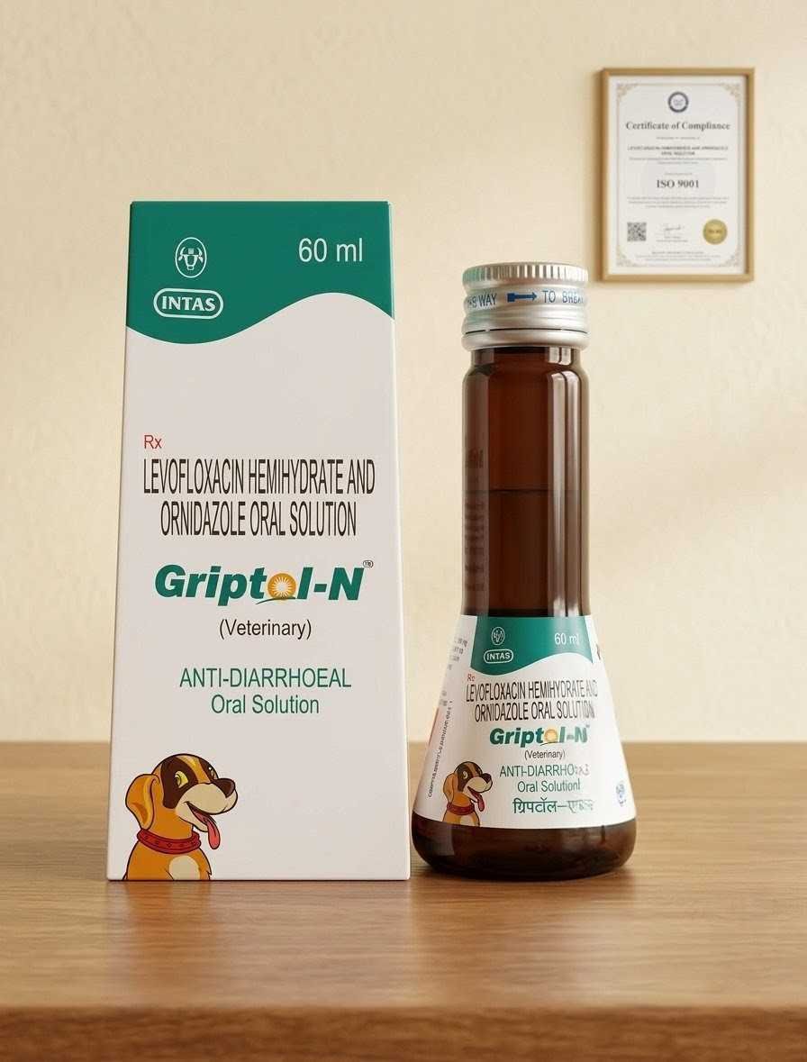 GRIPTOL N SYRUP