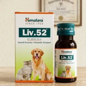 LIV 52 DROP