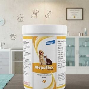 MEGAFLEX POWDER 250GM