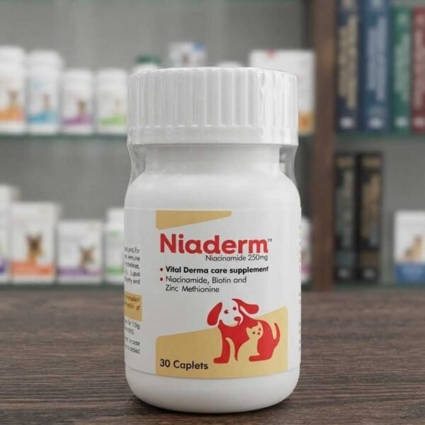Niaderm 250mg Tablet