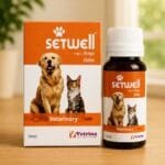 Setwell Drop 30ml