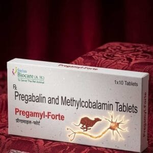 PREGAMYL FORTE