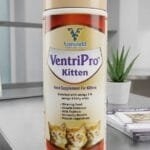 Ventripro Kitten
