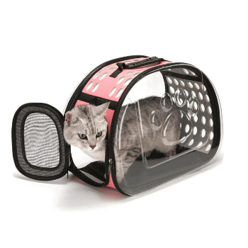 Cat Accessories