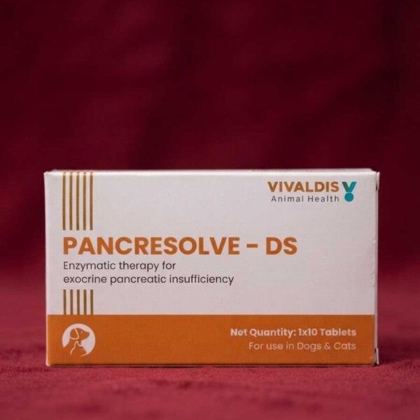 Pancresolve DS Tablet