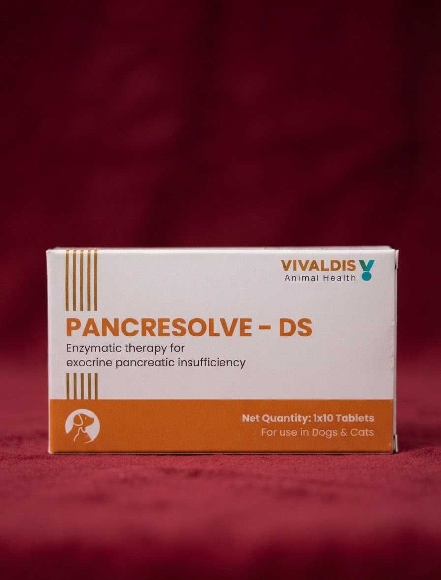 PANCRESOLVE DS TABLET