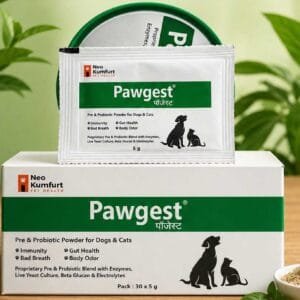 PAWGEST 5GM SACHET