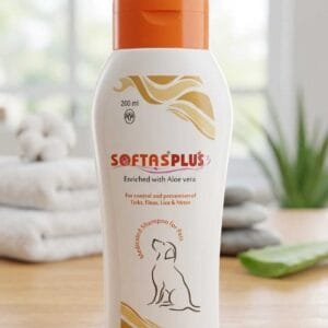 SOFTAS PLUS SHAMPOO 200ML