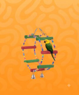 bird accessories