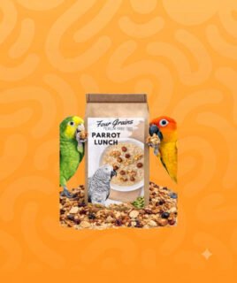 bird food category