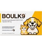 Boul K9 Tablet