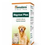 Digyton Plus Syrup 100ml