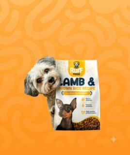 dog vet diet