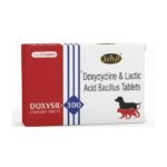 Doxysil Tablet