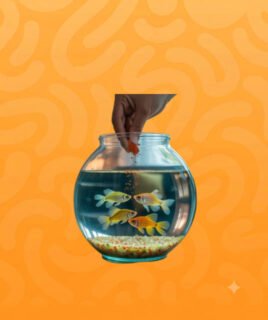 fish food category