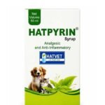 Hatpyrin Syrup 60ml