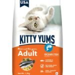Kitty Yums Adult Ocean Fish Dry Food