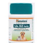 Liv 52 Forte Tablet