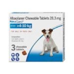 NEXGARD MEDIUM (4-10KG)