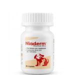 Niaderm 250mg Tablet