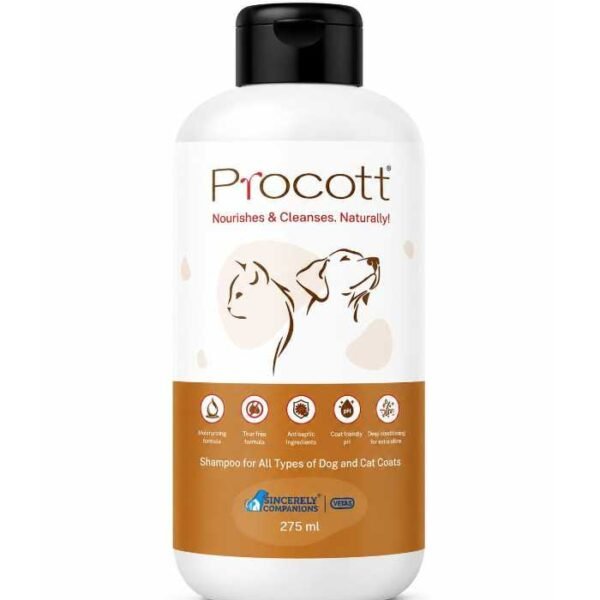 Procott Shampoo