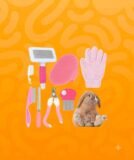 rabbit accessories