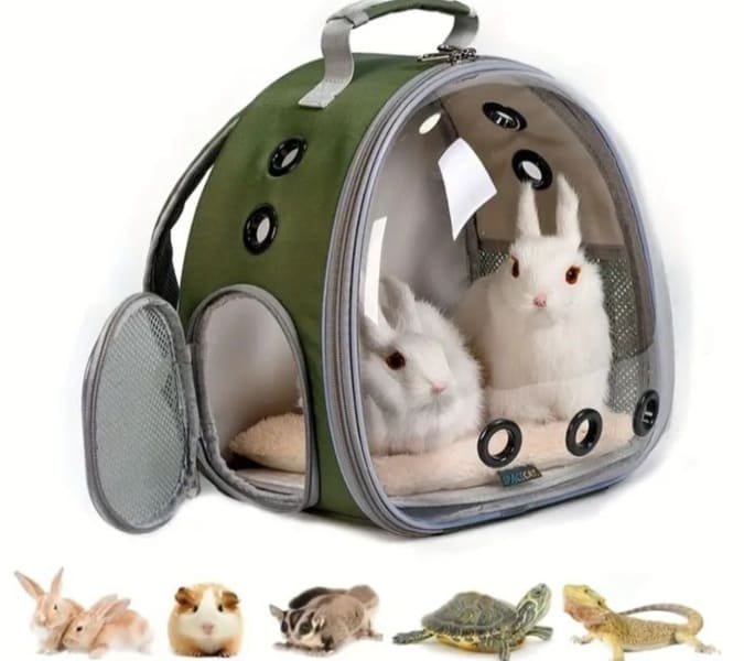 rabbit cage