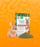 rabbit food