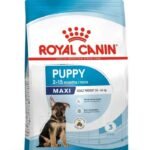 Royal Canin Maxi Puppy Dry Dog Food
