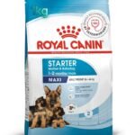 Royal Canin Maxi Starter Dry Dog Food