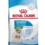 Royal Canin Mini Starter Dry Dog Food