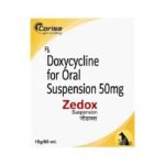 Zedox Syrup