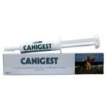 Canigest Paste 30ml